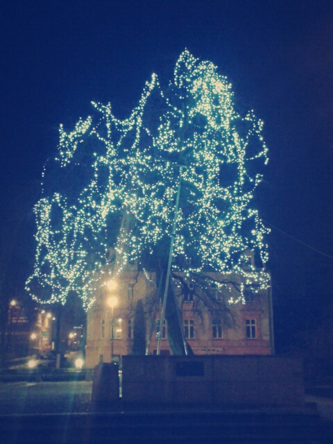 pitek, 9 stycznia 2015