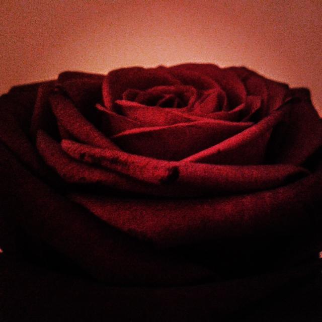 Wpis kornelia7525