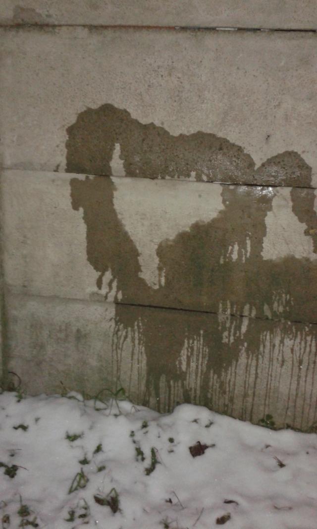 S.I.Q