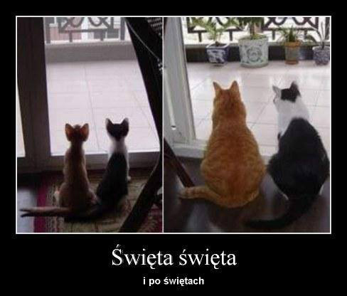 Koniec obarstwa ;)