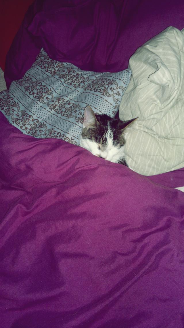 Bed Time