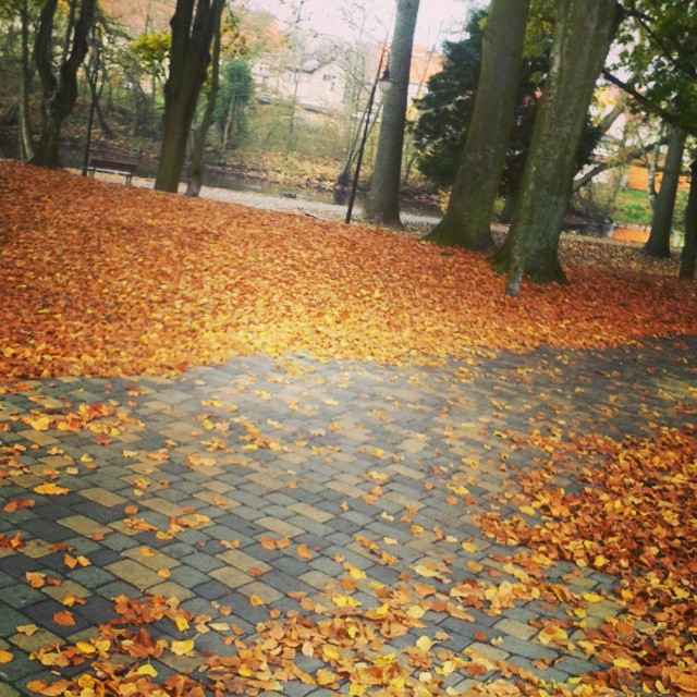 Autumn