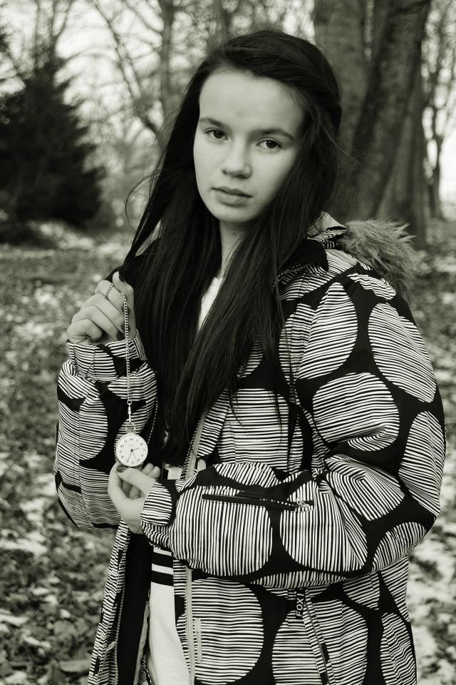 Wintry park 2