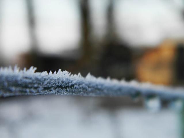Winter 2014/2015