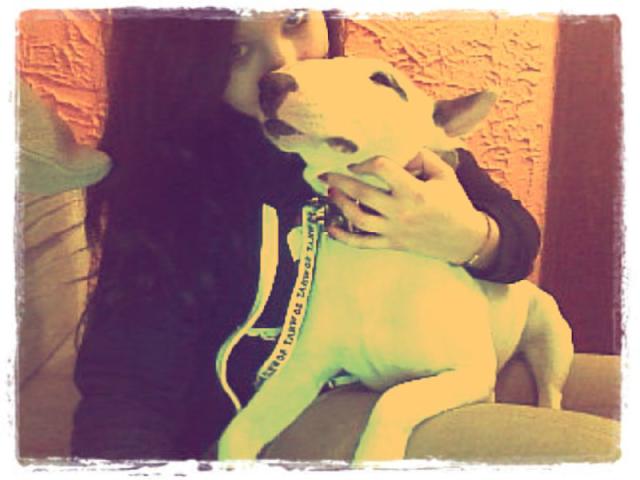 Hercia 
