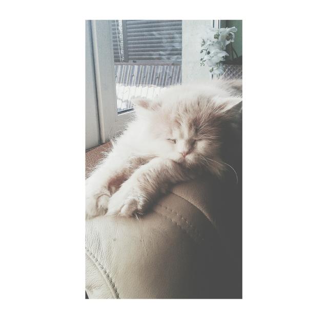 my love ;*