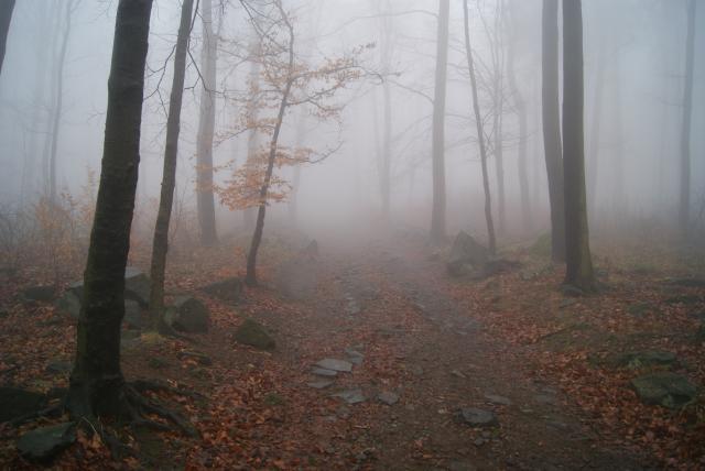 23.01.2015 - la, pocztek.