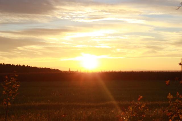 When the sun goes down
