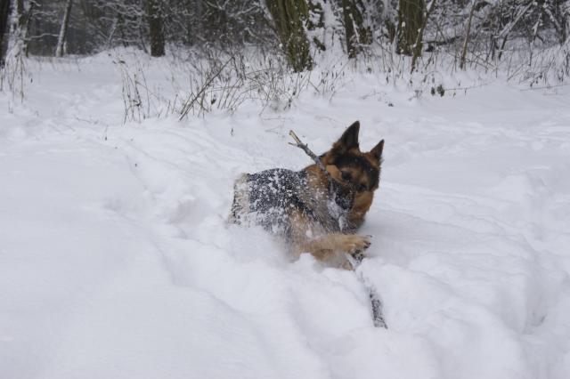 Zima :)