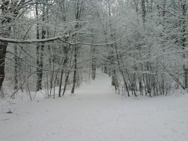 2 miesice