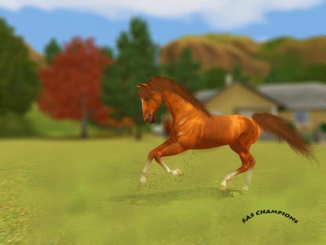 Simsy &#9829;