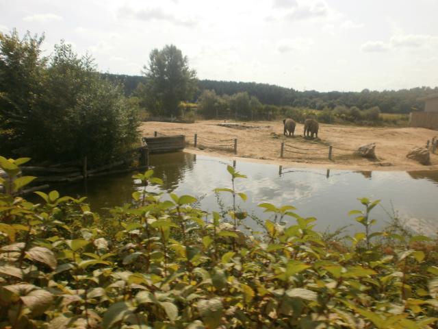 Pozna - Nowe ZOO - Wakacje 2014