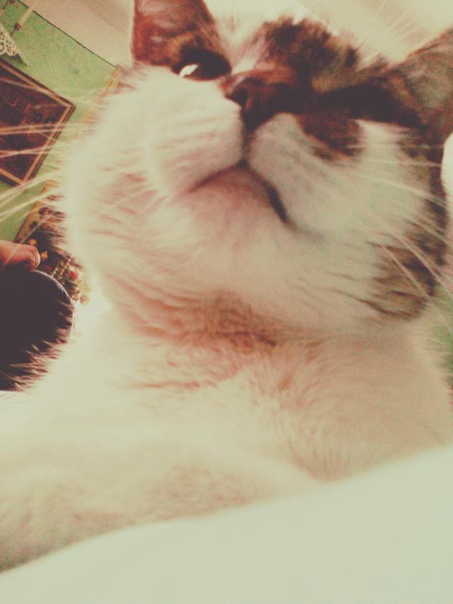 Wpis mowdomnszeptem