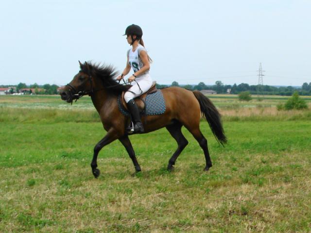 Ala-Gracja