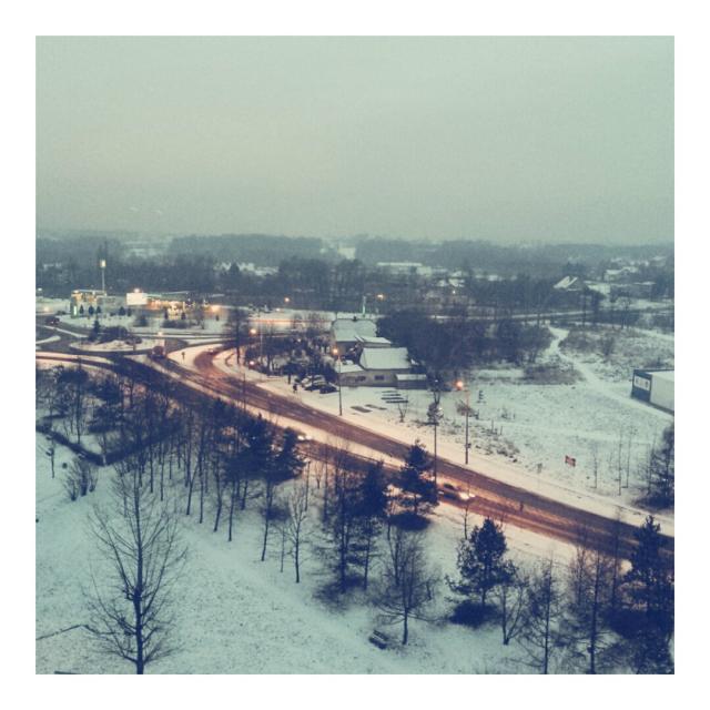 Rybnik.