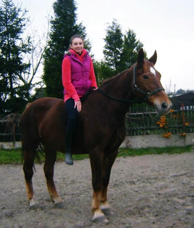 Wpis koniarka12