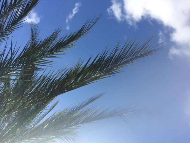 Gran Canaria
