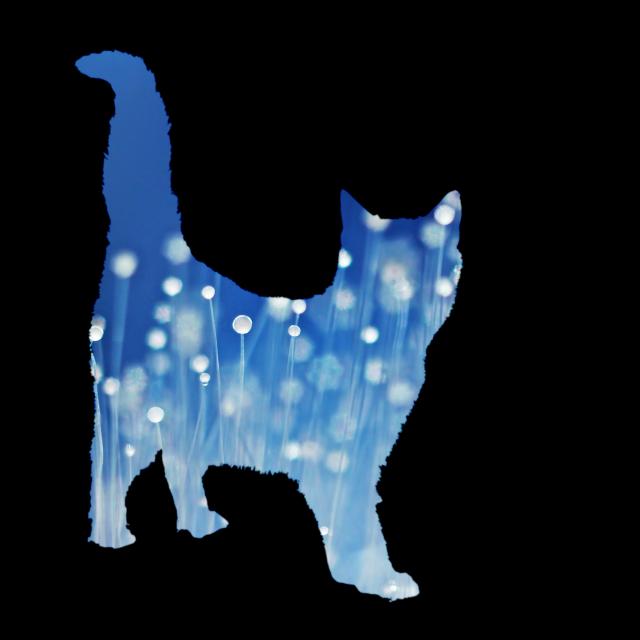 Meow...
