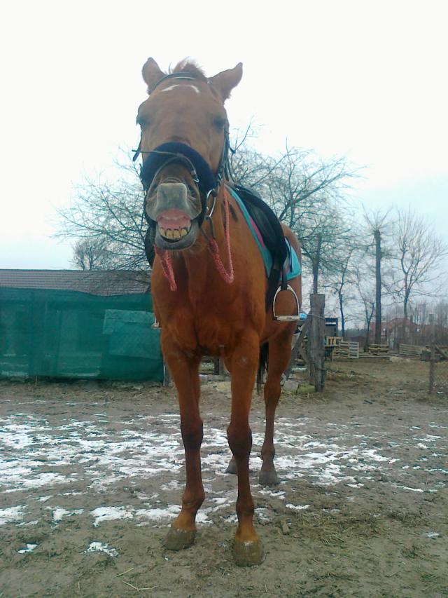 Wpis animkaa13