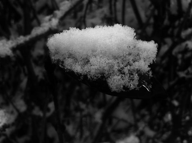 cold