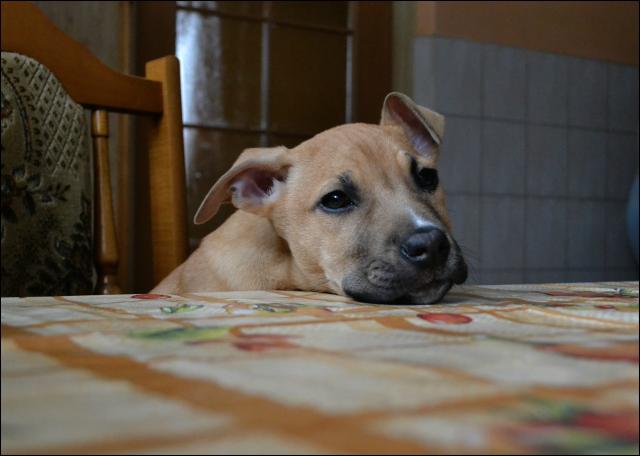 mi