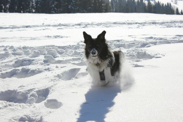 Zakopane