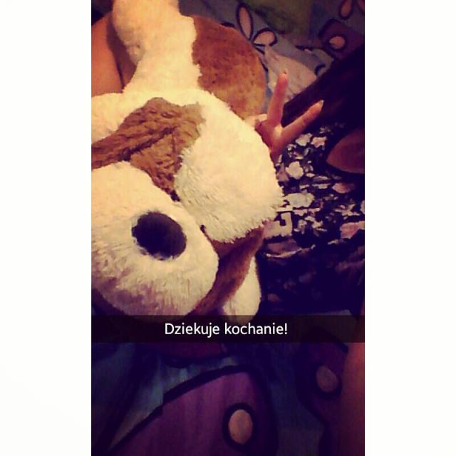 Wpis wefoundlovex3