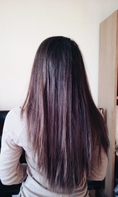 Wpis xtysiegx