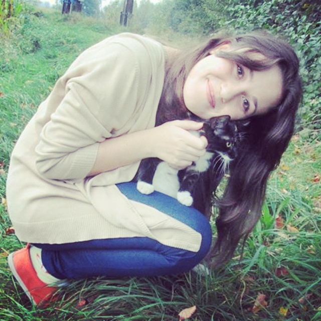 Wpis likeebau