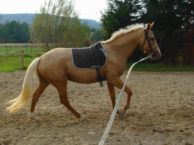Belle Kinsk