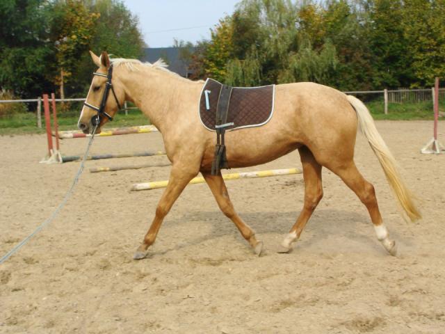 Belle Kinsk