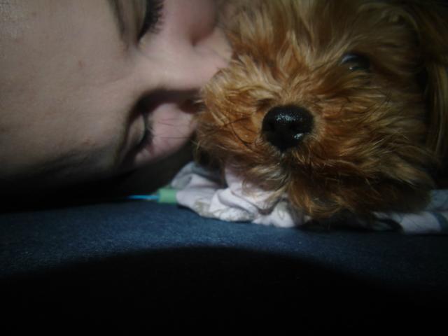 Wpis andme