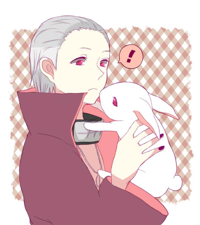 Rabbit.