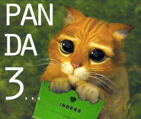 sesja, sesja... i pandy