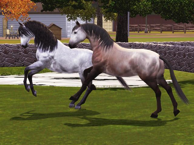 #10 El Caballero & Verdugo