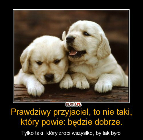 Pierwszy dzie 