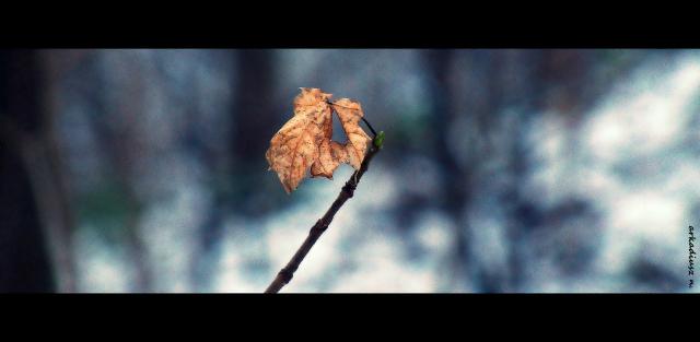20150225