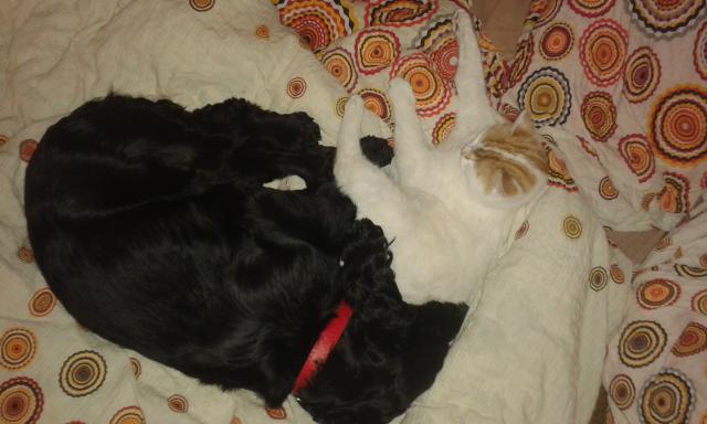 Wpis mejormomento
