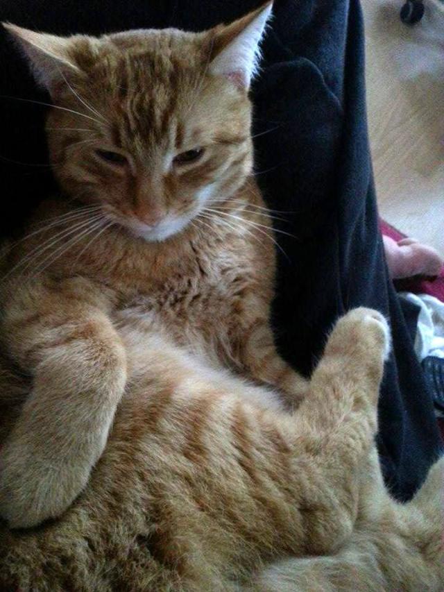 Czas relaksu..
