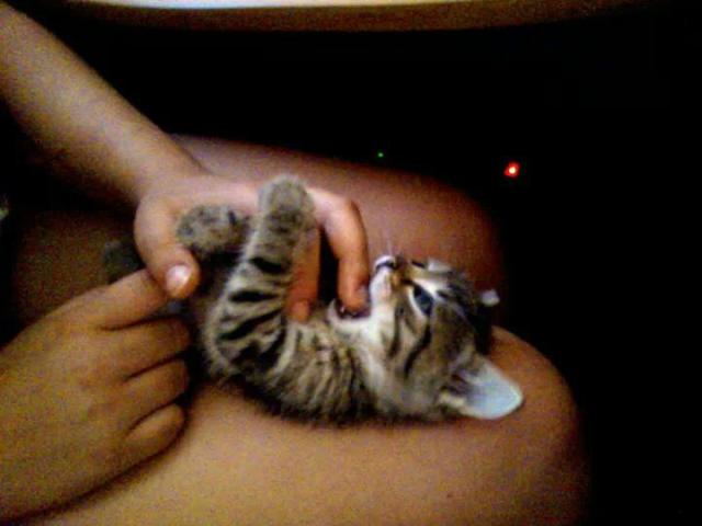 my love