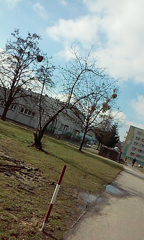 Cze