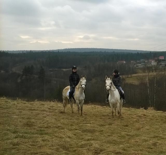 teren