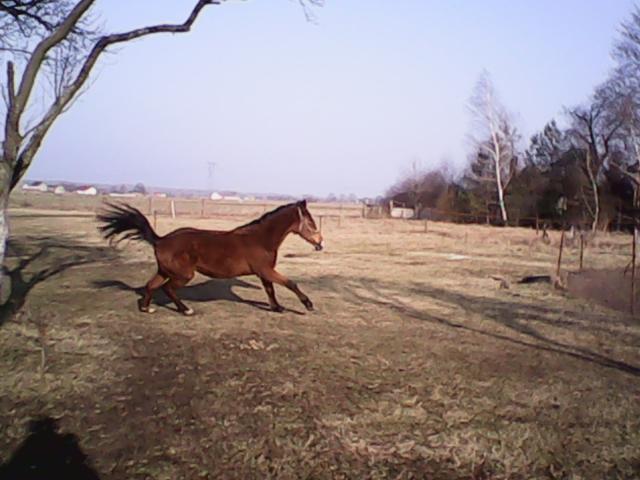 Wpis aneciakom