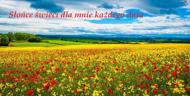 Wpis olcciak