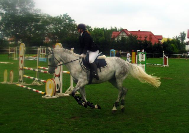 Wpis gryglodor