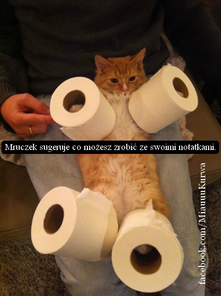 Co si koczy, co si zaczyna
