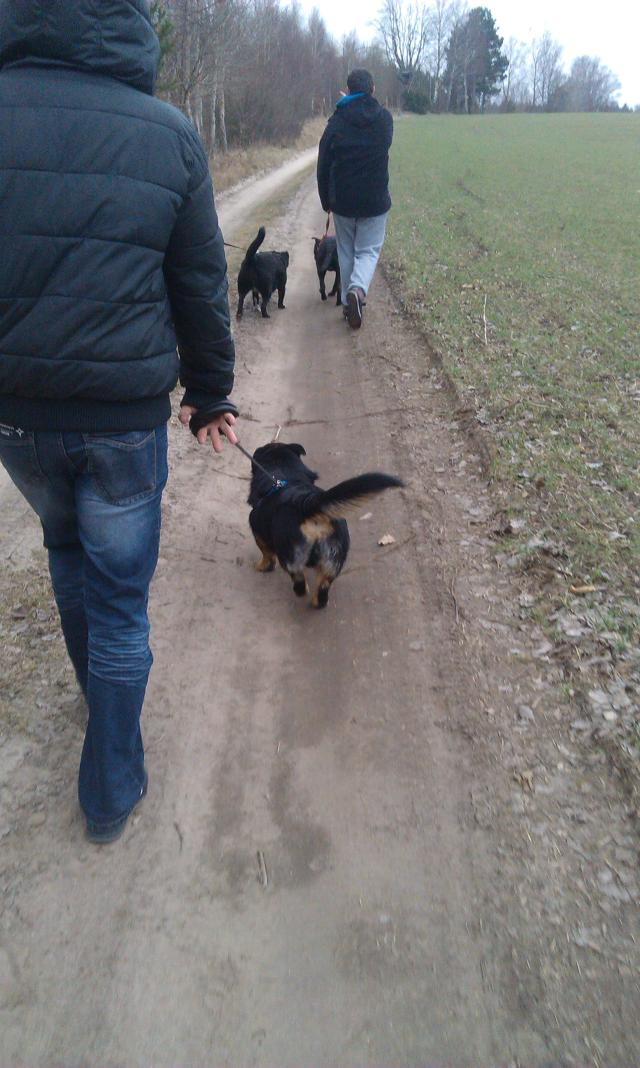 Wpis patryszkaxx3