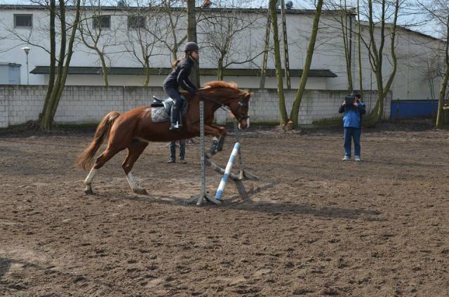Wpis horsesmyloveforever
