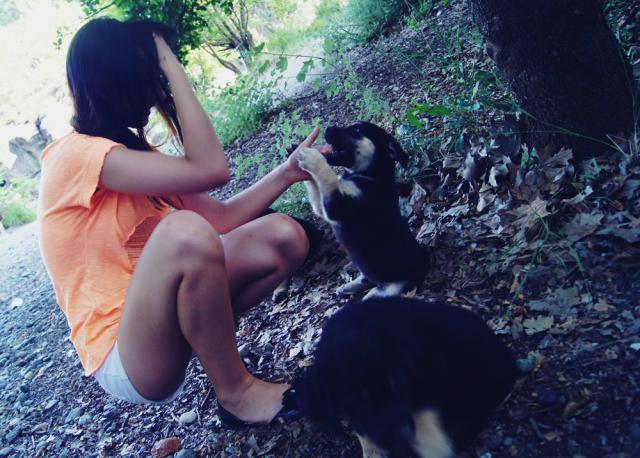 Wpis guusiiaa
