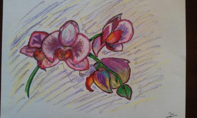 Wpis crazyrose17